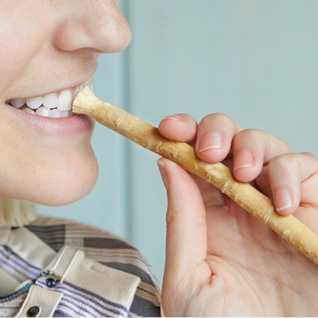 Natural Toothbrush Siwak Miswak - Arak Tree Multi-pack